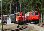Lokparaden und Doppeltraktion 60 Jahre Diesellok 2095 (9)